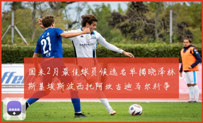 国米2月最佳球员候选名单揭晓泽林斯基埃斯波西托阿坎吉迪马尔科争夺荣誉