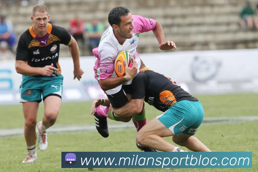 多媒体互动体验